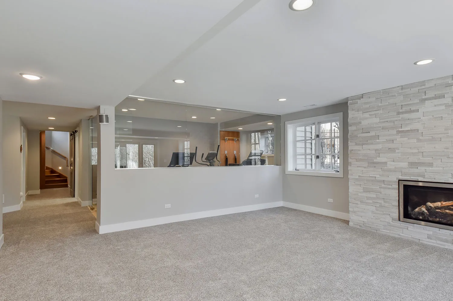 Elevated Basement Bonus Rooms — photo 5